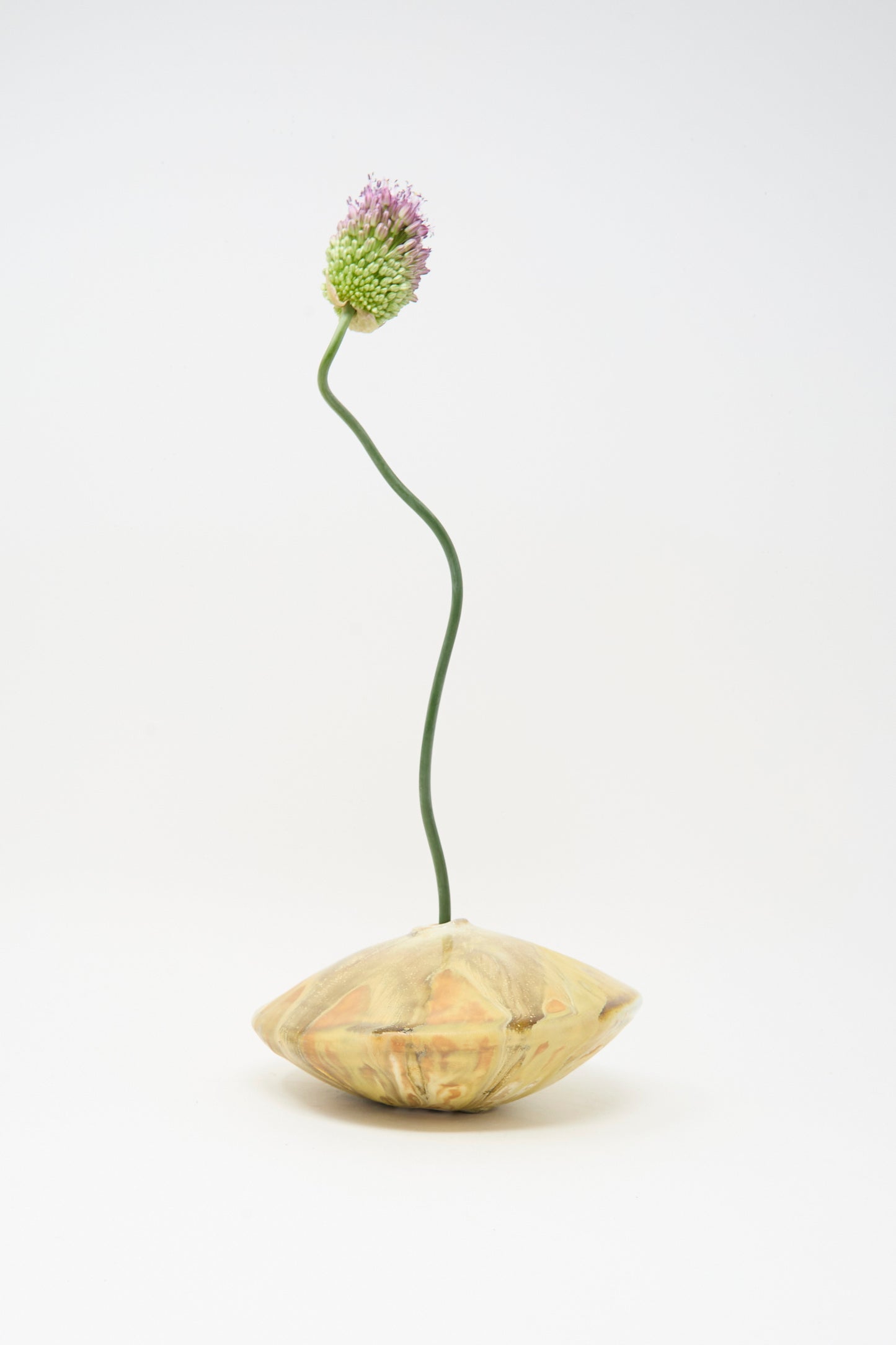 A single purple allium with a curved green stem in the MONDAYS Soda-Fired Ikebana Vase No. 1, a round handmade vase crafted from beige ceramic, displayed against a plain white background.