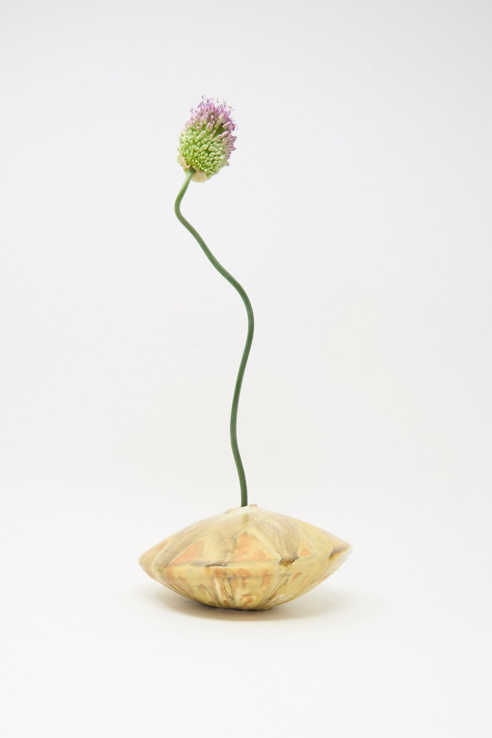 A single purple allium with a curved green stem in the MONDAYS Soda-Fired Ikebana Vase No. 1, a round handmade vase crafted from beige ceramic, displayed against a plain white background.
