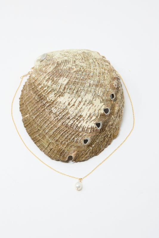 The "Petite Baroque Pearl Drop Necklace in White" by Mary MacGill, featuring a handmade Baroque pearl with a gold-filled chain, is  displayed over a textured scallop shell against a light backdrop.