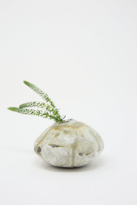 A Mini Moon Bud Vase in Glazed Stoneware with a plant growing out of it, reminiscent of MONDAYS pottery.