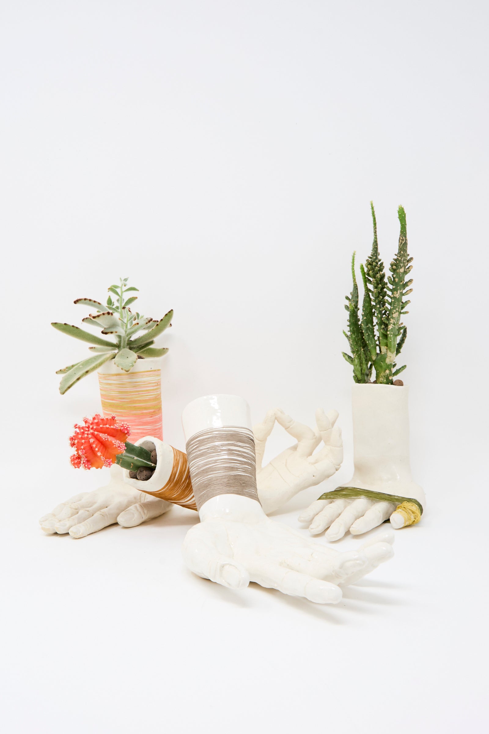 The Monty J Ceramic Hand Sculpture with Green Thread holds assorted small succulents and cacti, arranged artfully on a white background.