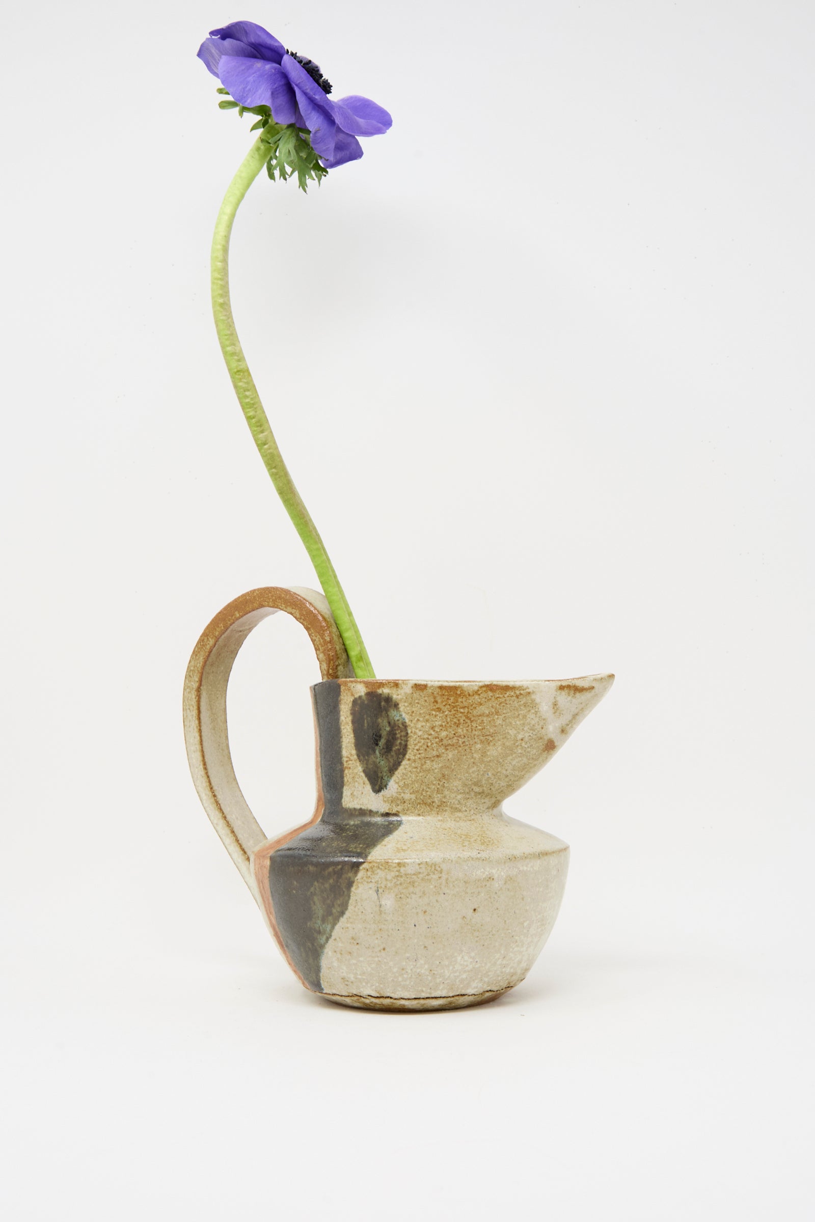 A single purple flower with a long green stem in the Rachel Craven Drawn Pitcher in Creme, featuring a handle, set against a white background.
