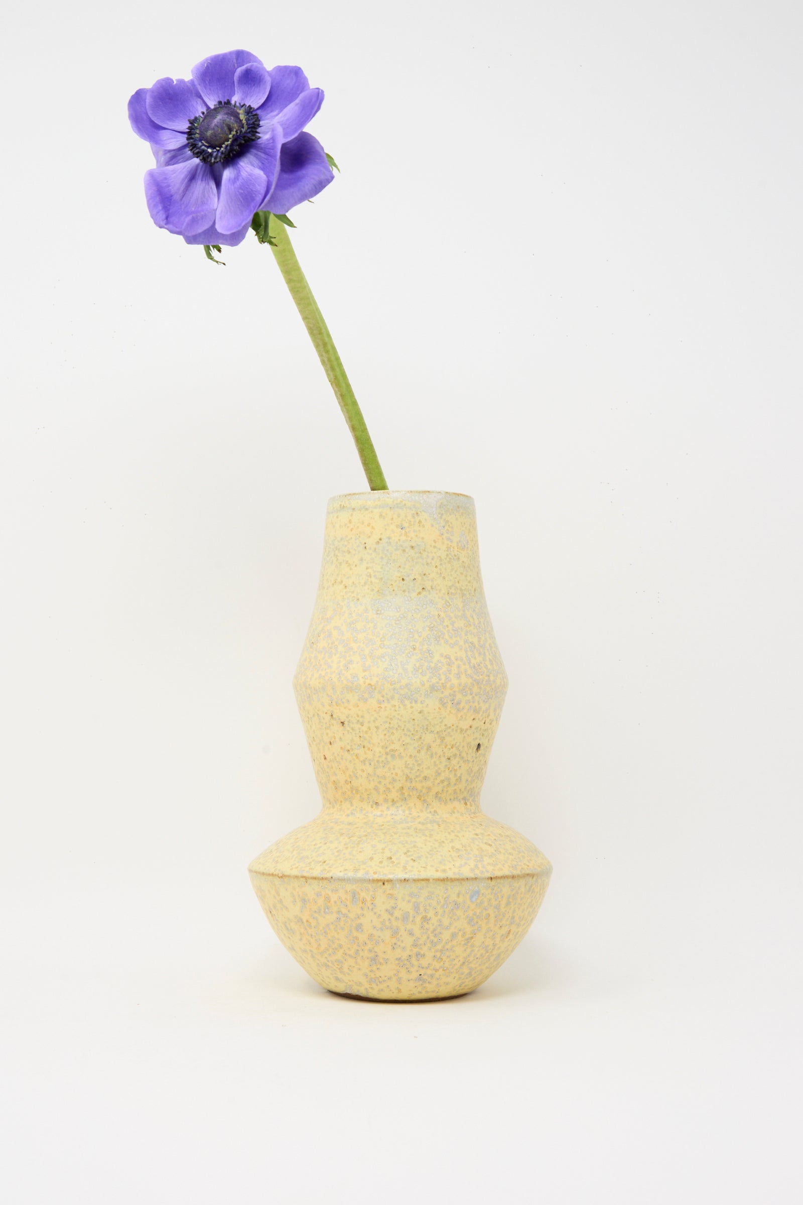 A single purple flower with a green stem stands in the Rachel Craven Shaped Vase in Eggshell Speckle, set against a plain white background.
