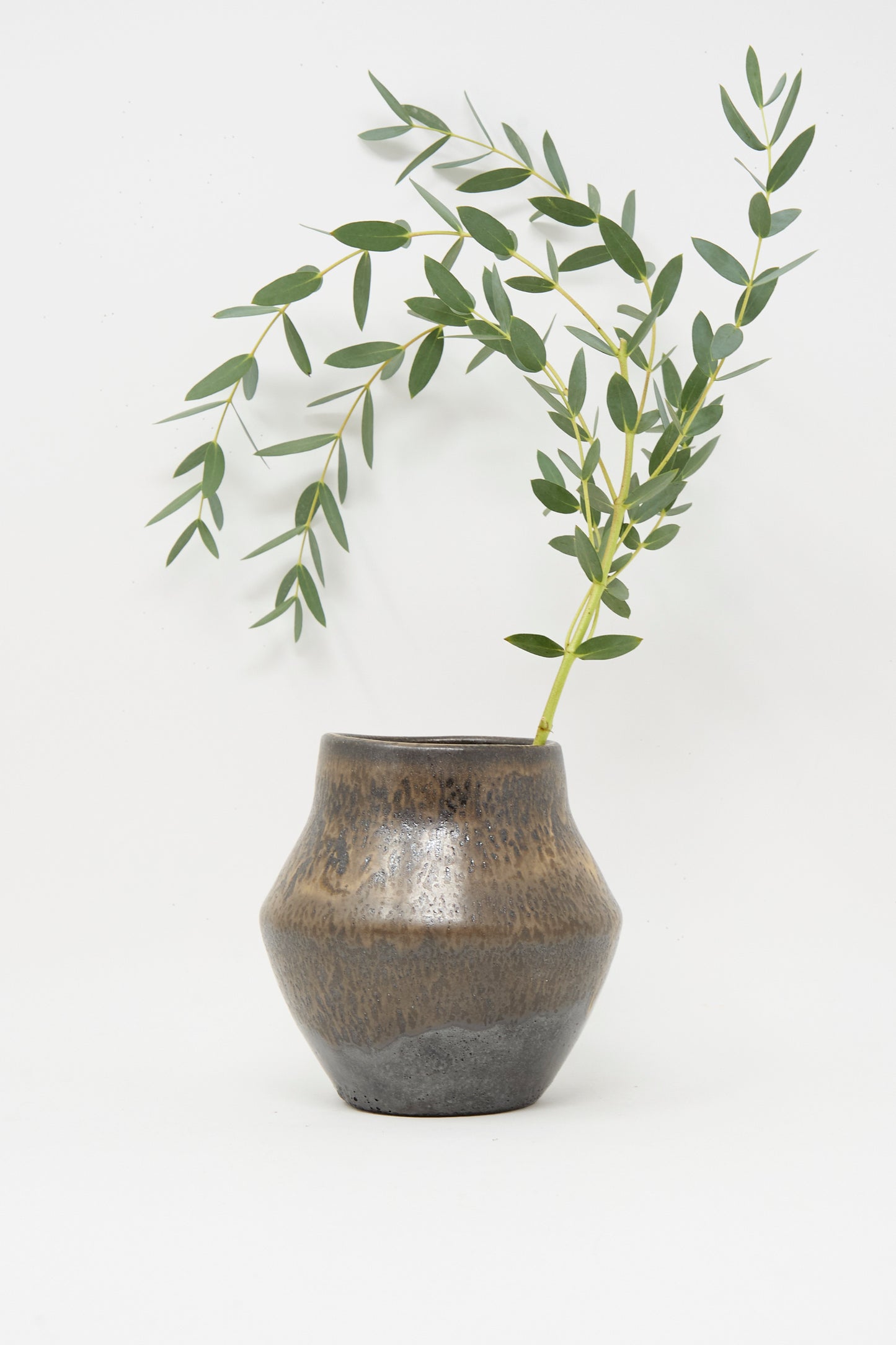 The Rachel Craven Small Sap Vase in Black I, featuring a matte finish and wheel-thrown design, displays a single green leafy branch against a plain white background.