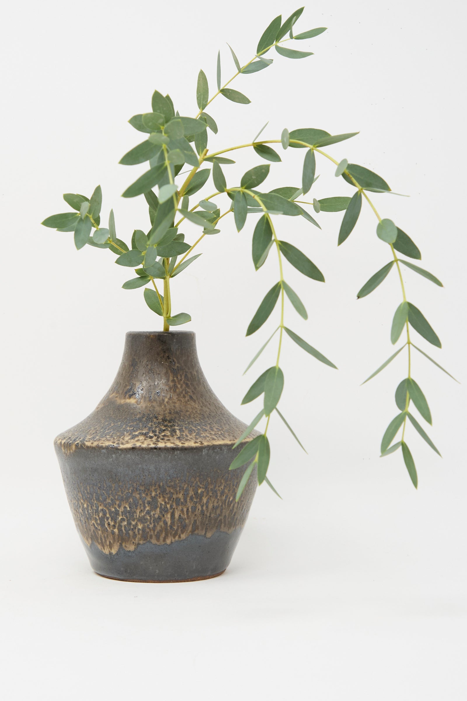 The Small Sap Vase in Black II by Rachel Craven, featuring a brown and black speckled mineral glaze, holds a green leafy branch against a plain white background.