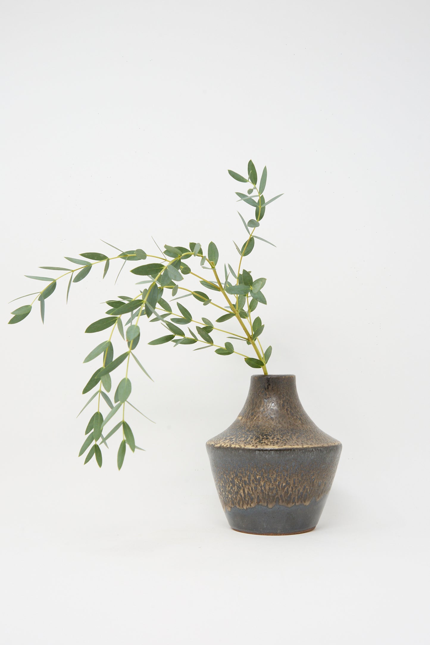 The Small Sap Vase in Black II by Rachel Craven, a dark wheel-thrown clay vase with a matte finish, holds green leafy branches against a plain white background.