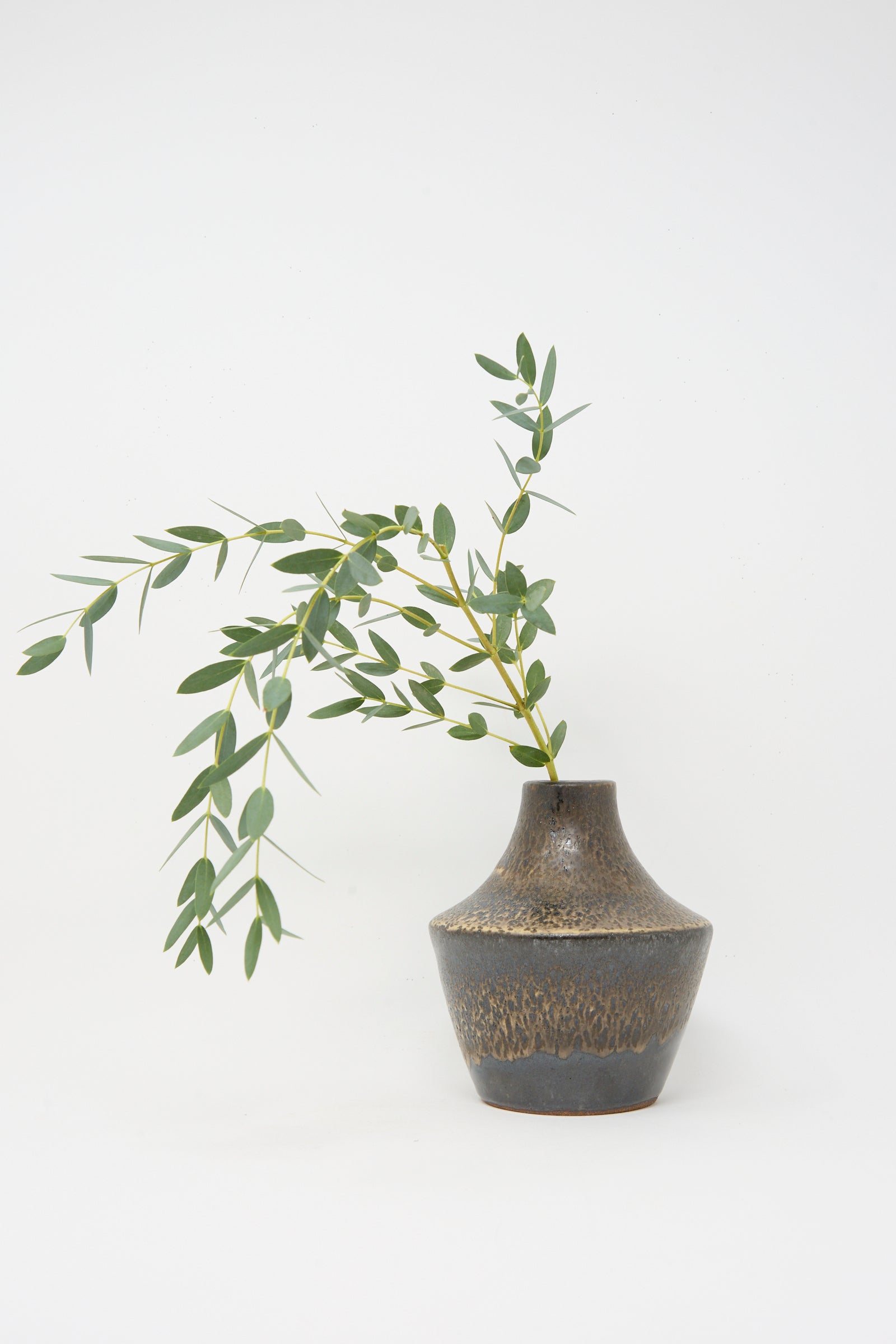 The Small Sap Vase in Black II by Rachel Craven, a dark wheel-thrown clay vase with a matte finish, holds green leafy branches against a plain white background.