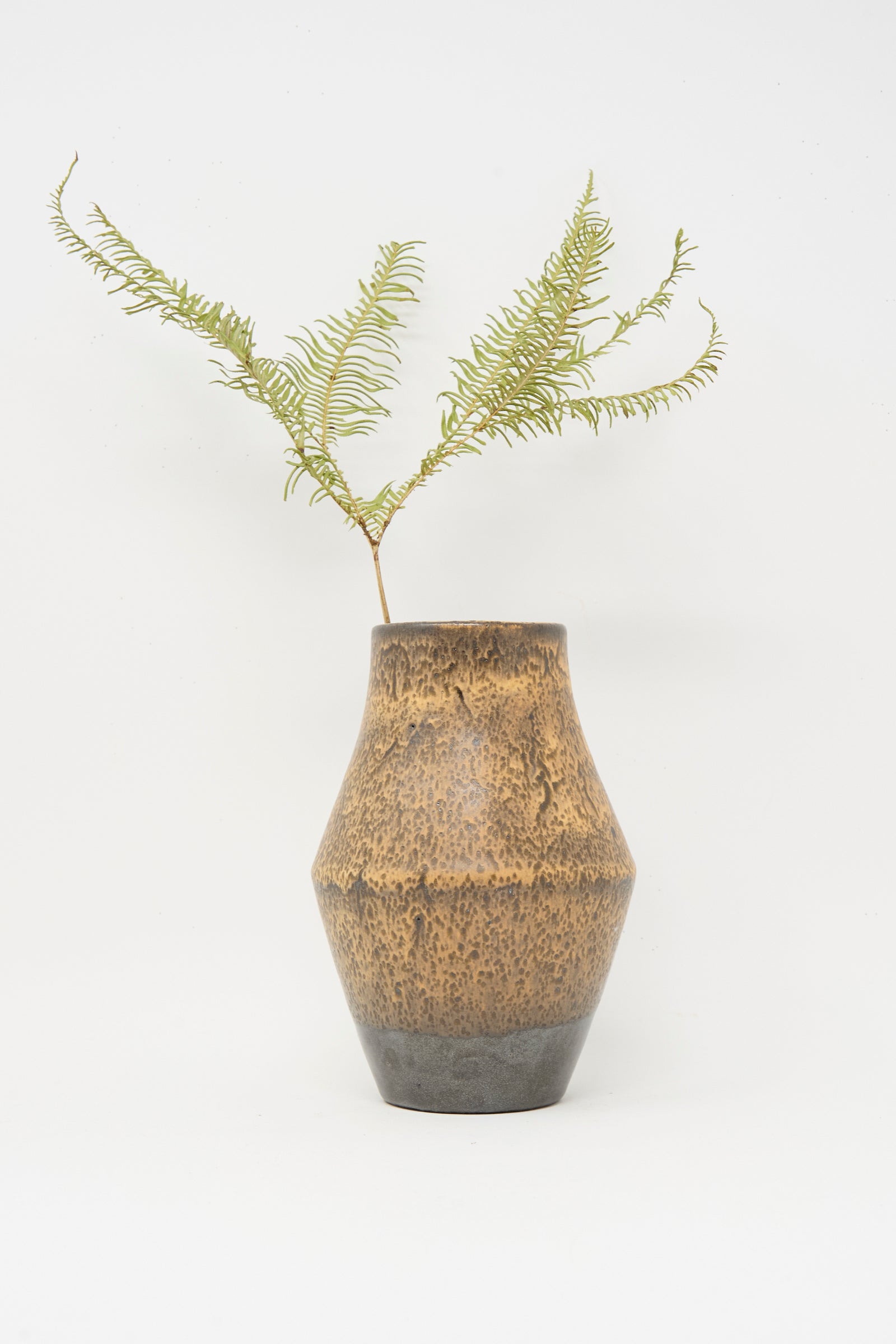 The Small Sap Vase in Brown by Rachel Craven, featuring a handmade textured surface, holds two thin green fern branches against a plain white background.