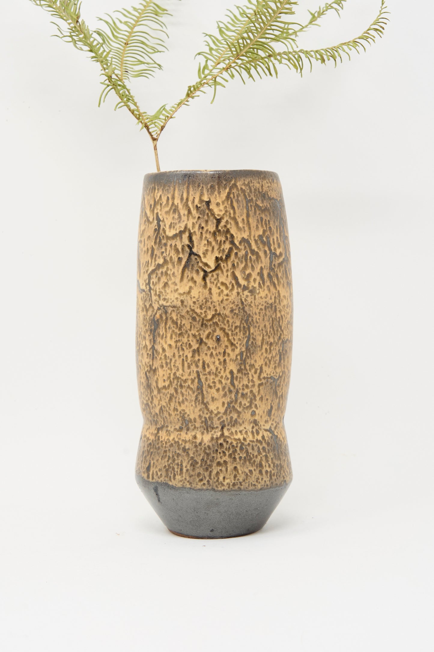The Rachel Craven Tall Sap Vase in Brown, featuring a textured handmade design with a mottled brown and gray finish, displays a single green fern frond against a white background.