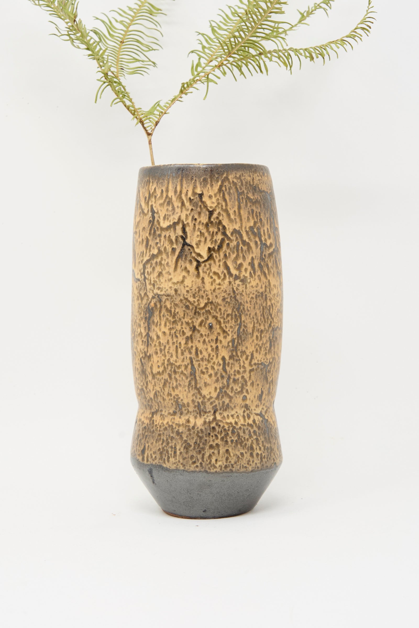 The Rachel Craven Tall Sap Vase in Brown, featuring a textured handmade design with a mottled brown and gray finish, displays a single green fern frond against a white background.