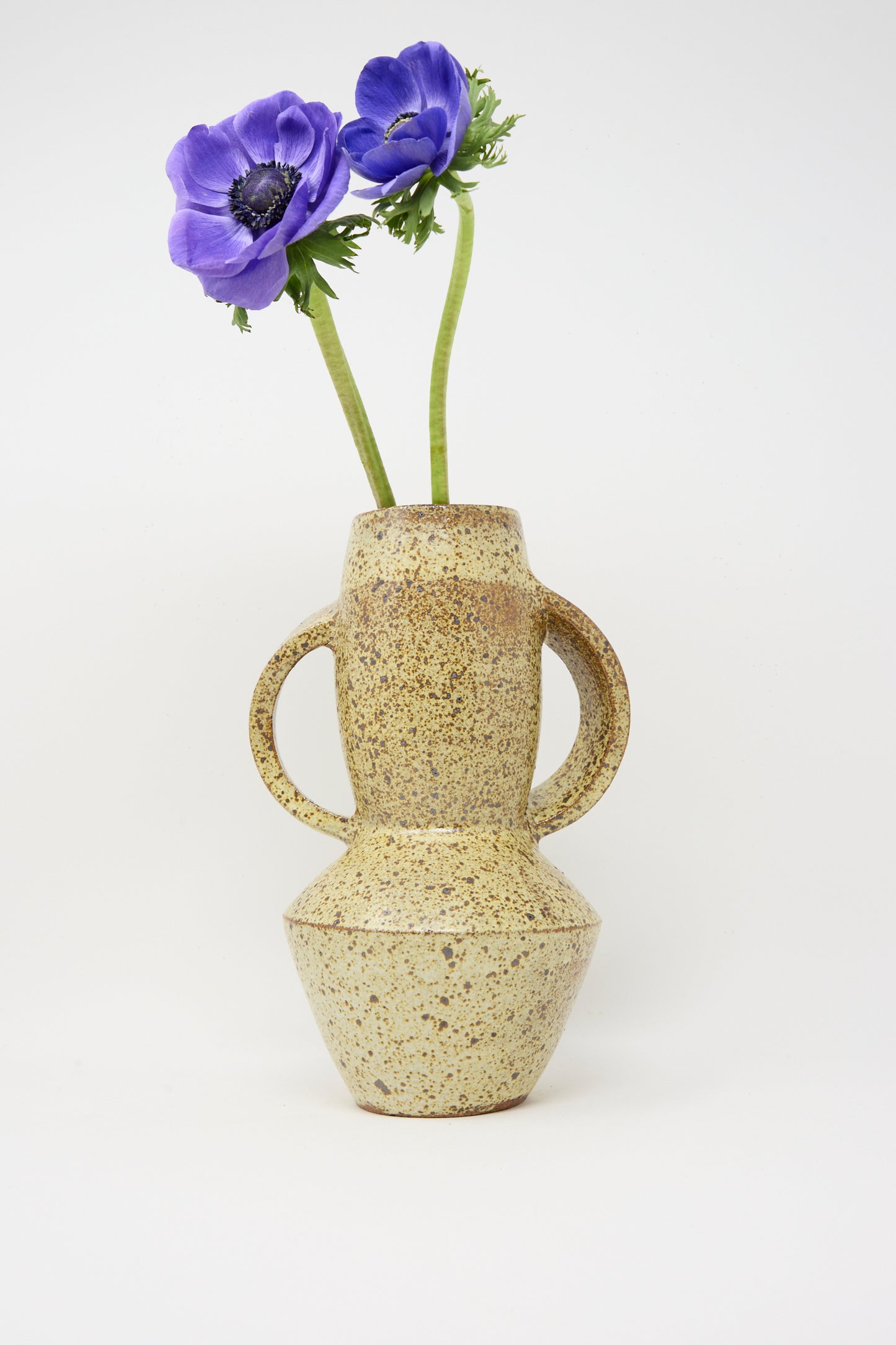 The Rachel Craven Tall Shaped Handled Vase in Eggshell Speckle, featuring two side handles, holds two purple flowers with green stems against a plain white background.