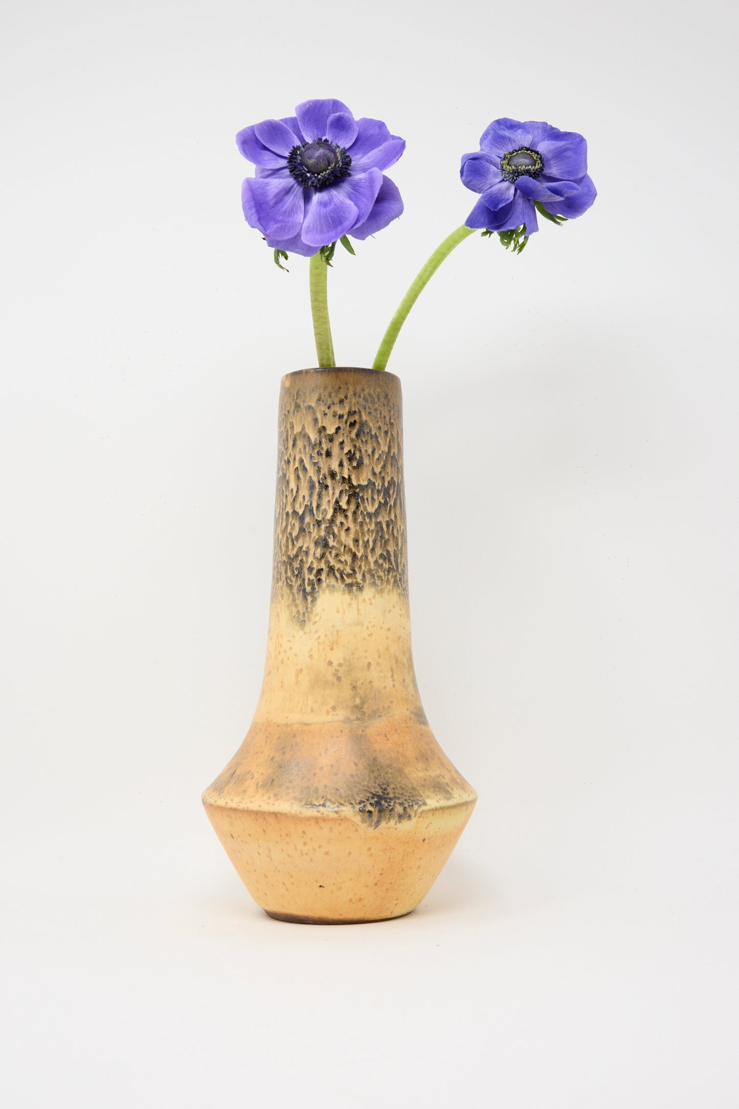 The Tall Variegated Vase in Black and Brown by Rachel Craven holds two purple anemone flowers against a plain white background.