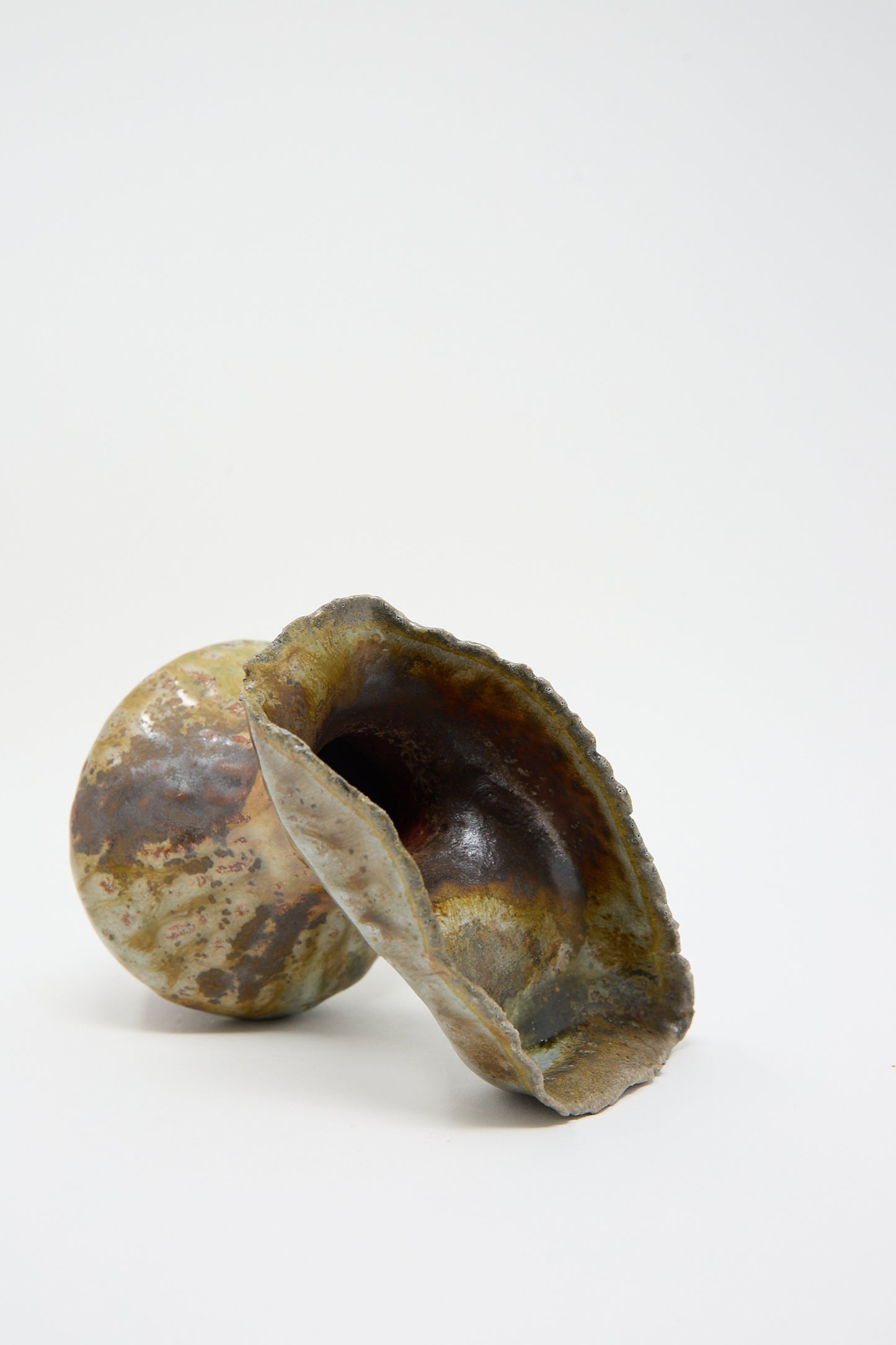 A large, textured brown and green ceramic shell sits against a plain background. The outer side is rough, while the inner side is smooth and darker in color, reminiscent of **The Small Woodfired Flutter Vase** with a ruffled opening by **Tania Whalen**.