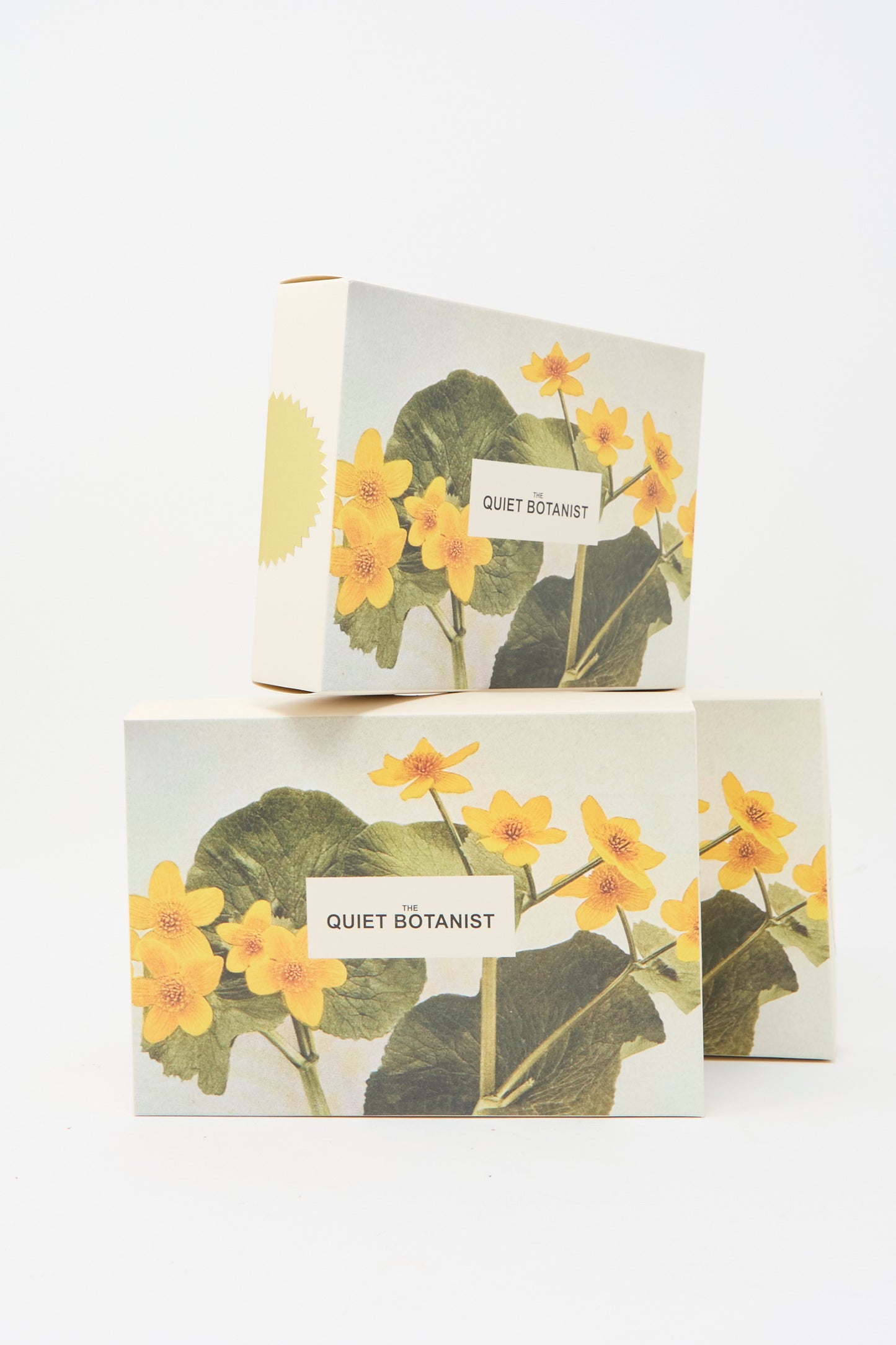 Three boxes of "Holiday Bon Bons" by The Quiet Botanist stacked, feature yellow flowers and green leaves on a white background.