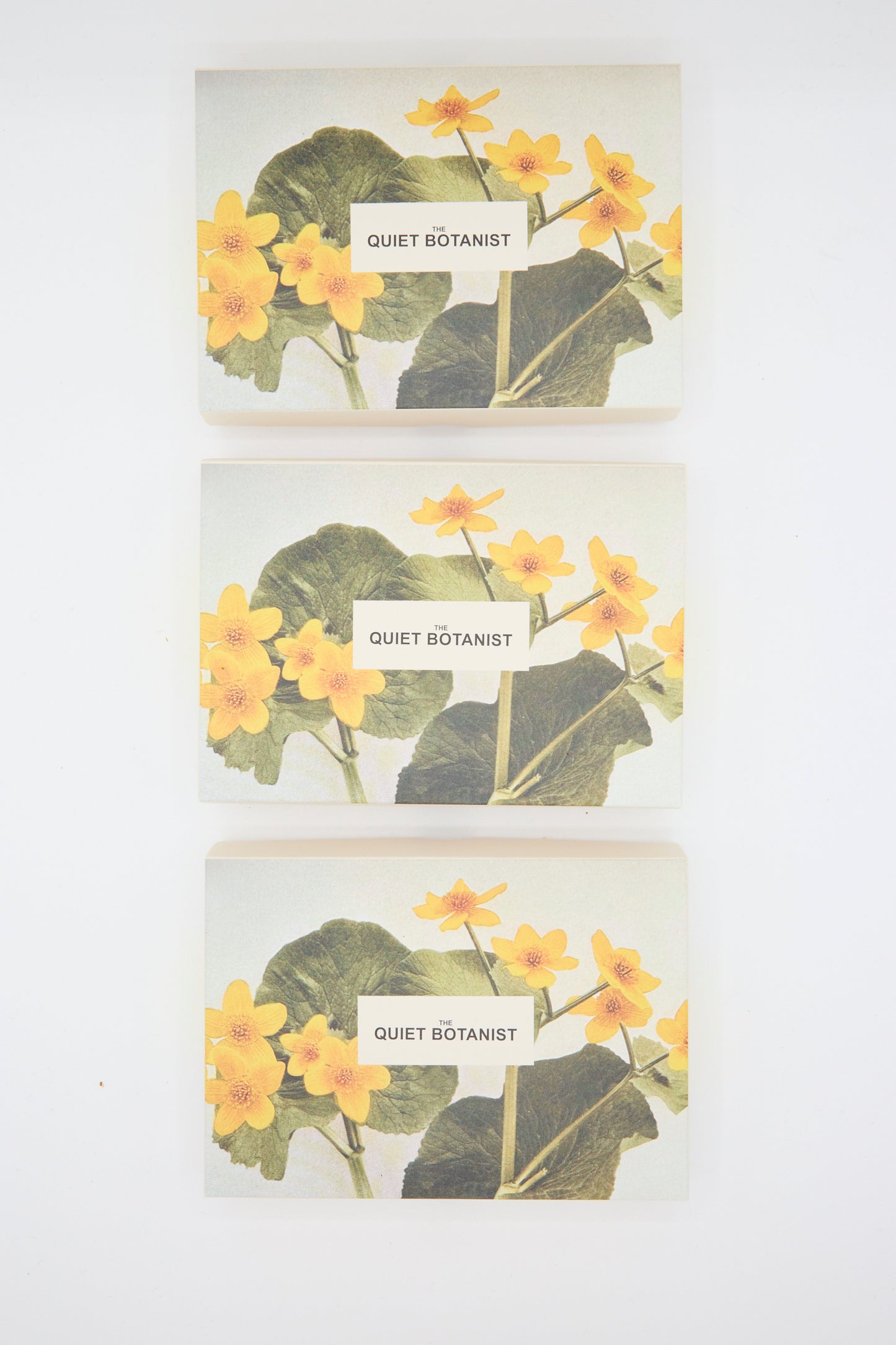 Three boxes with yellow flowers, green leaves, and rose petals accents, each displaying "The Quiet Botanist" text.