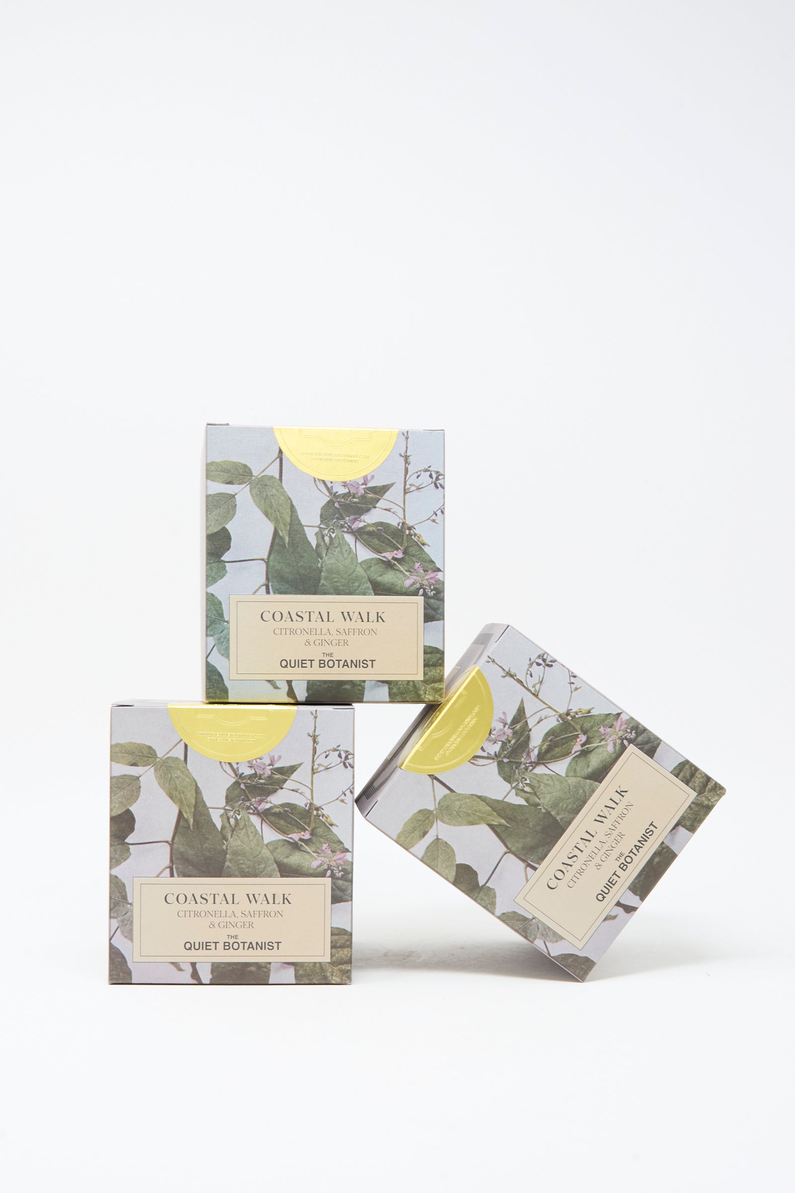 Three boxes of The Quiet Botanist's Limited Edition Summer Candle Coastal Walk, featuring botanical artwork, are arranged against a plain white background; two stand upright while one is tilted on its side, capturing the serene essence of this natural coconut wax candle inspired by the iconic Coogee to Bondi walk.