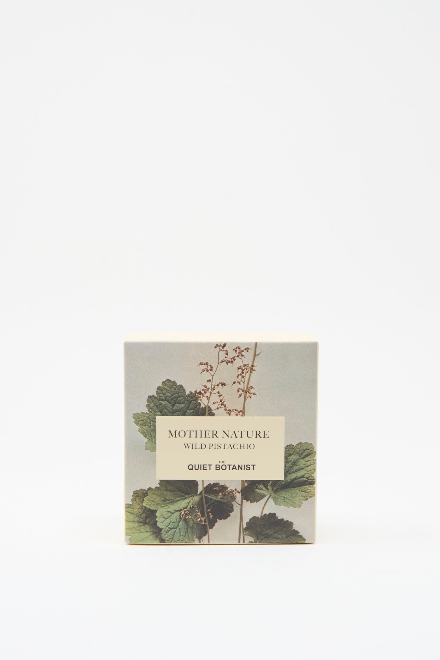 A square box labeled "Mother Nature Wild Pistachio Soap Bar" by The Quiet Botanist, adorned with botanical art on white, contains handmade wild pistachio bar soap from Turkey.