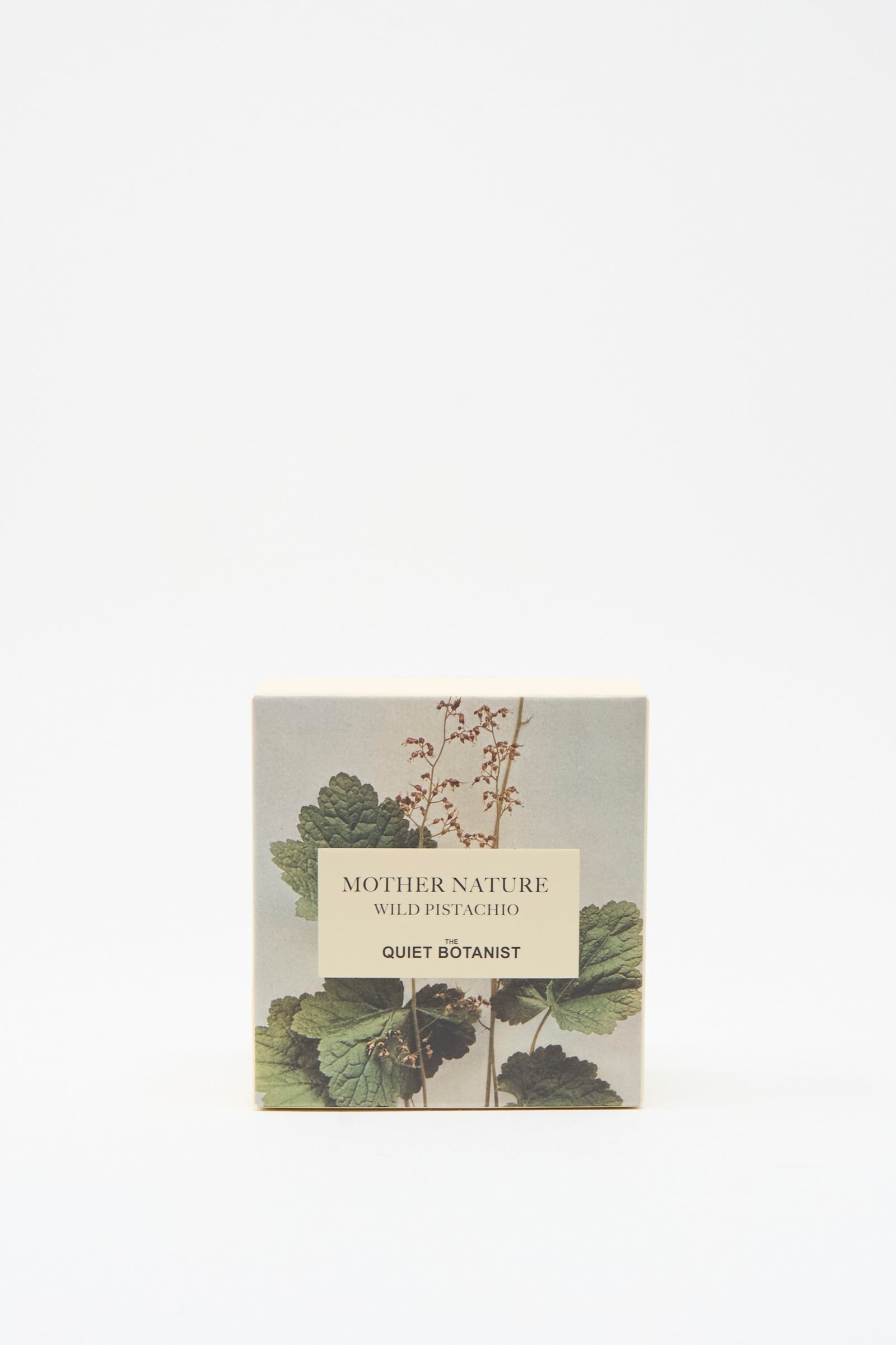 A square box labeled "Mother Nature Wild Pistachio Soap Bar" by The Quiet Botanist, adorned with botanical art on white, contains handmade wild pistachio bar soap from Turkey.