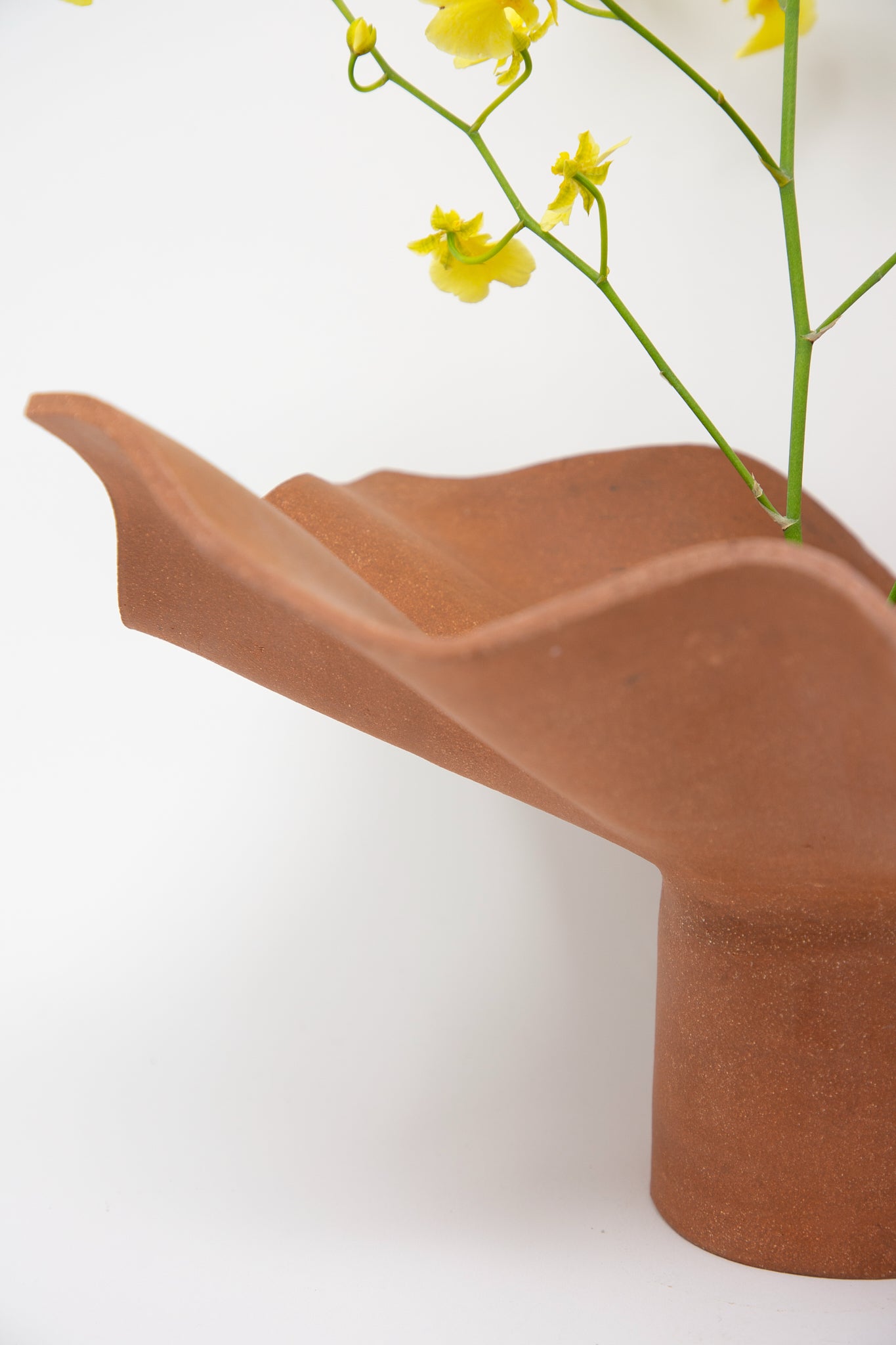 The Ruffle Pedestal in Terracotta by Lost Quarry features a wide, wavy lip that holds a few yellow flowers against a white background, evoking the handcrafted elegance of a hand-built clay sculpture.