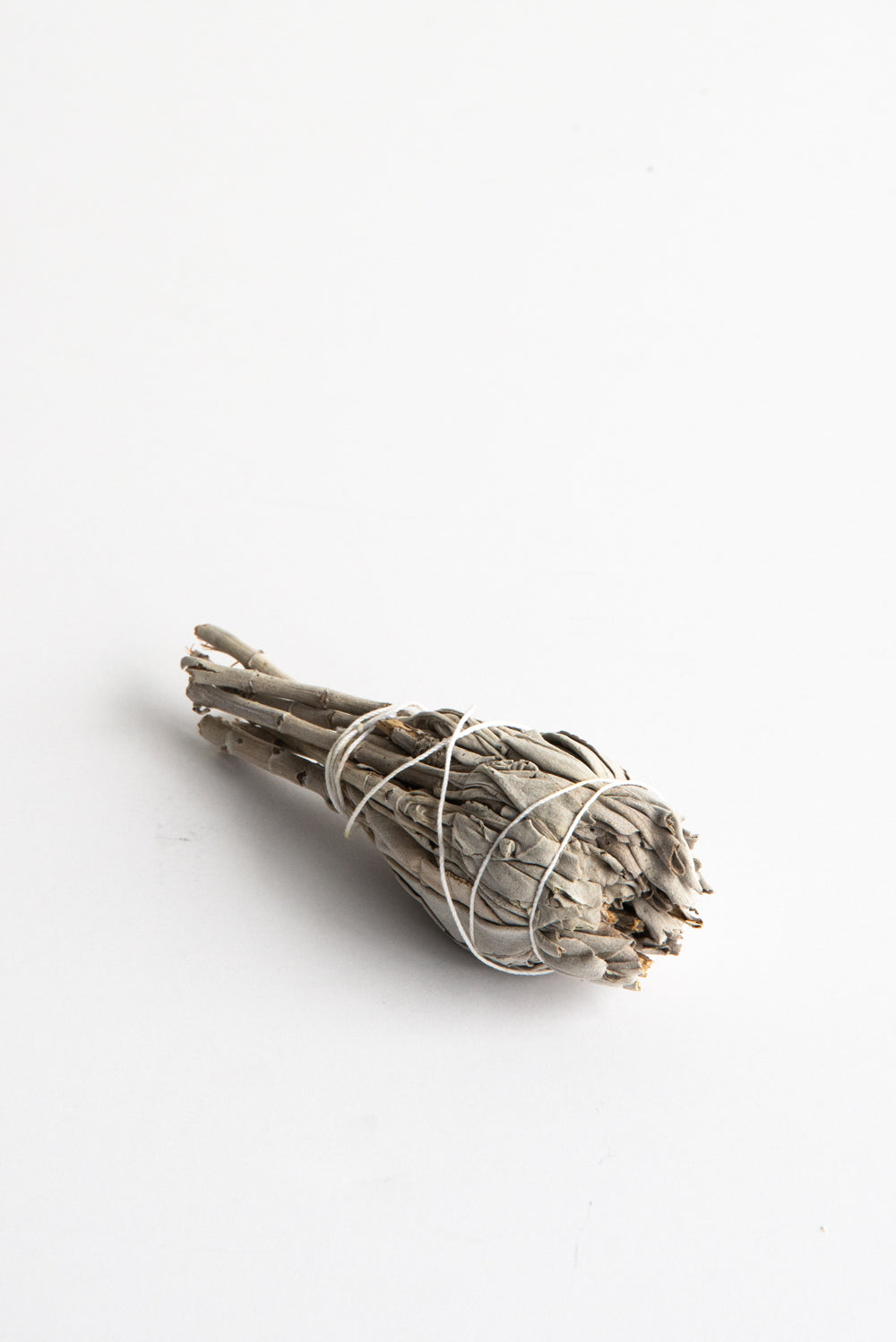 Home OROBORO Oroboro Store