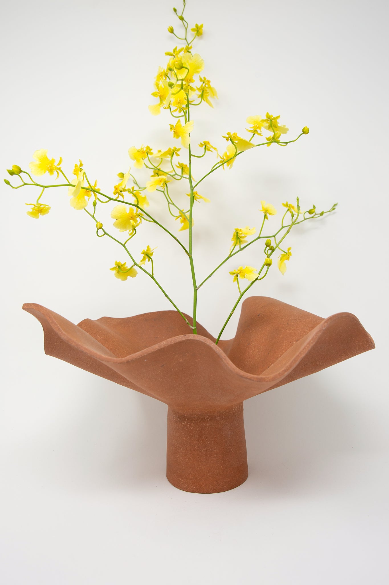 The Ruffle Pedestal in Terracotta from Lost Quarry features a delicate arrangement of yellow flowers against a plain white background.