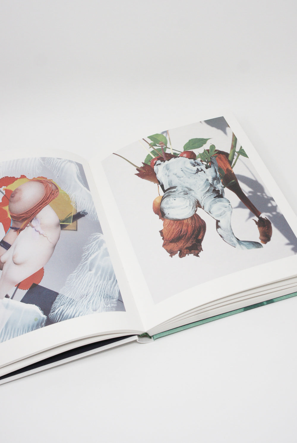 A Viviane Sassen & Emanuele Coccia: Modern Alchemy photobook capturing the essence of a woman and a man through stunning photographs, brought to you by Artbook/D.A.P.