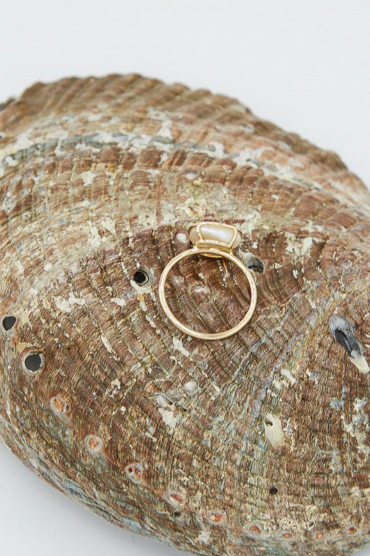 A 14K Floating Ring in Pearl by Mary MacGill sits on top of a shell.