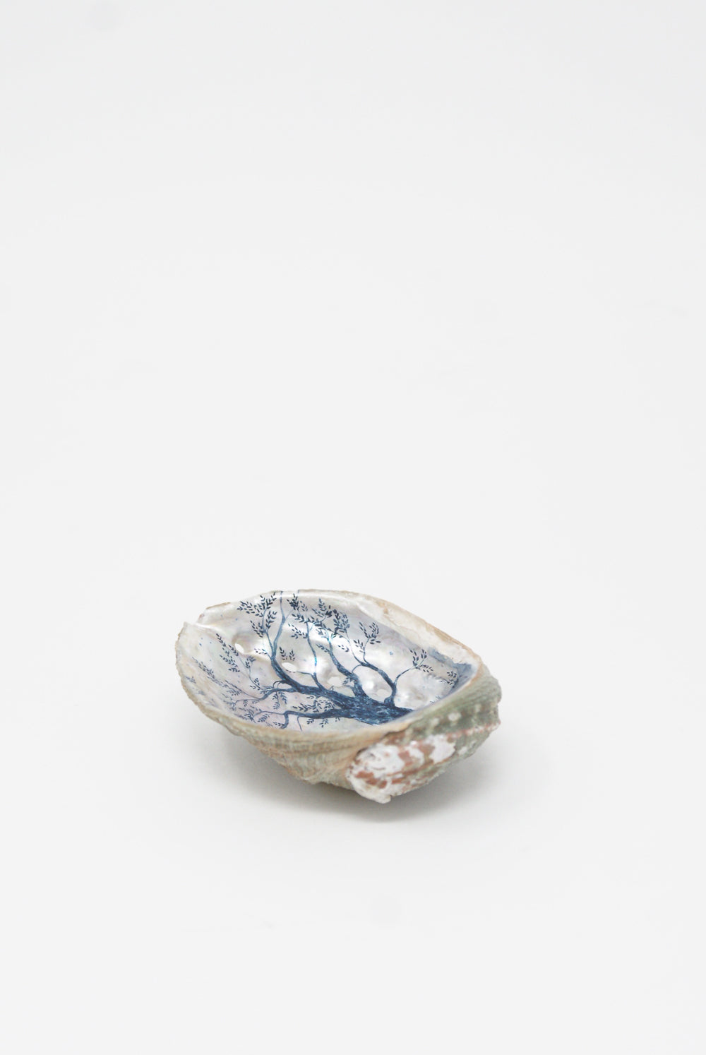 Alyssa Goodman - Hand Painted Shell in Views side