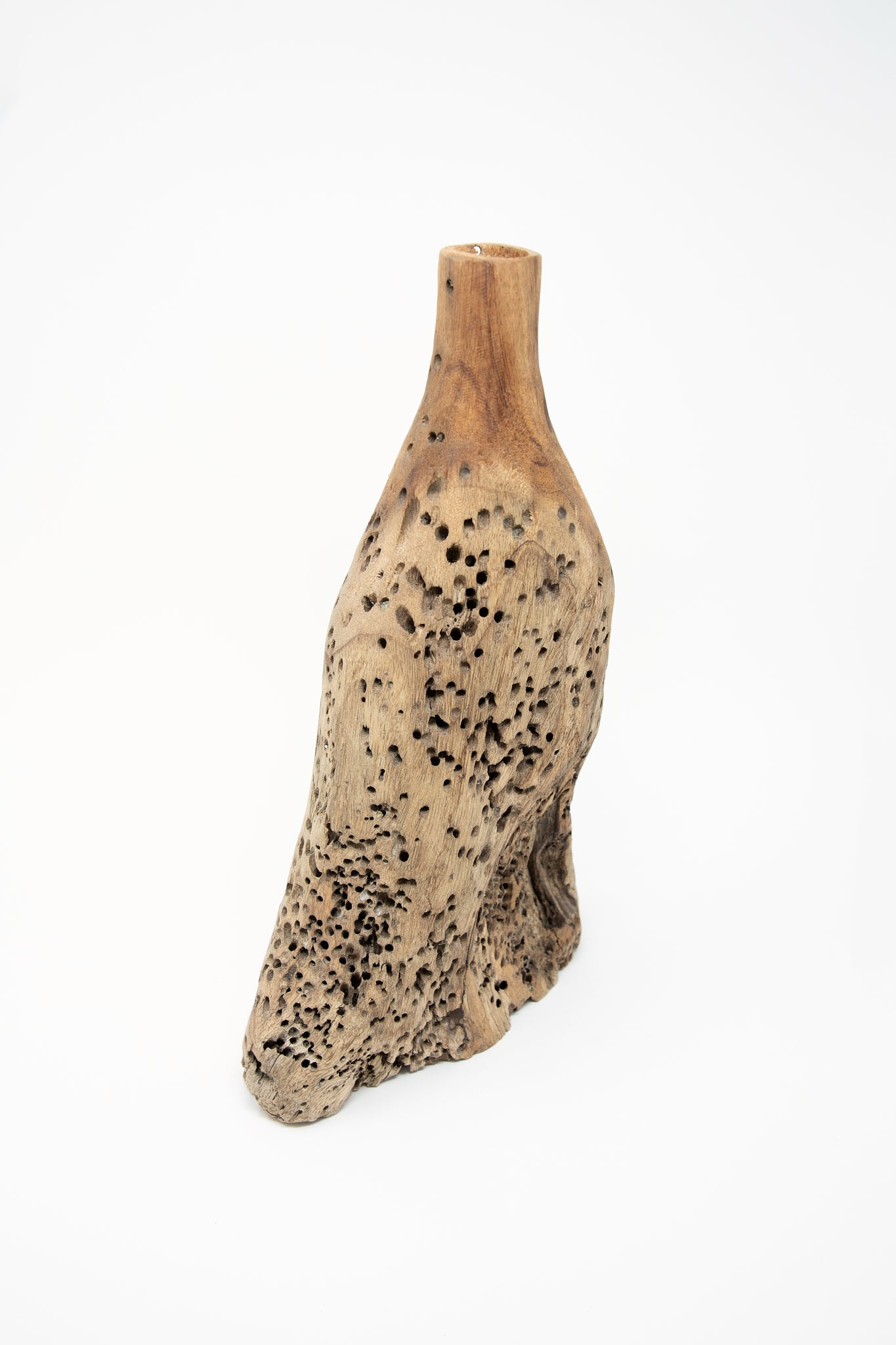 A Pajara driftwood sculpture in Caracoli by Plaza Bolivar with holes in it on a white background.