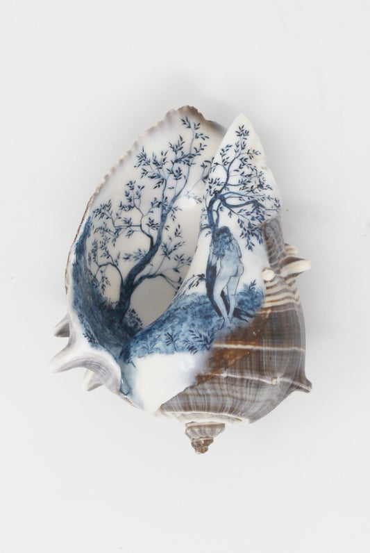 Alyssa Goodman - Hand Painted Shell in Portal top view