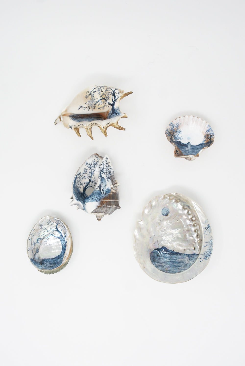 Alyssa Goodman - Hand Painted Shell group view
