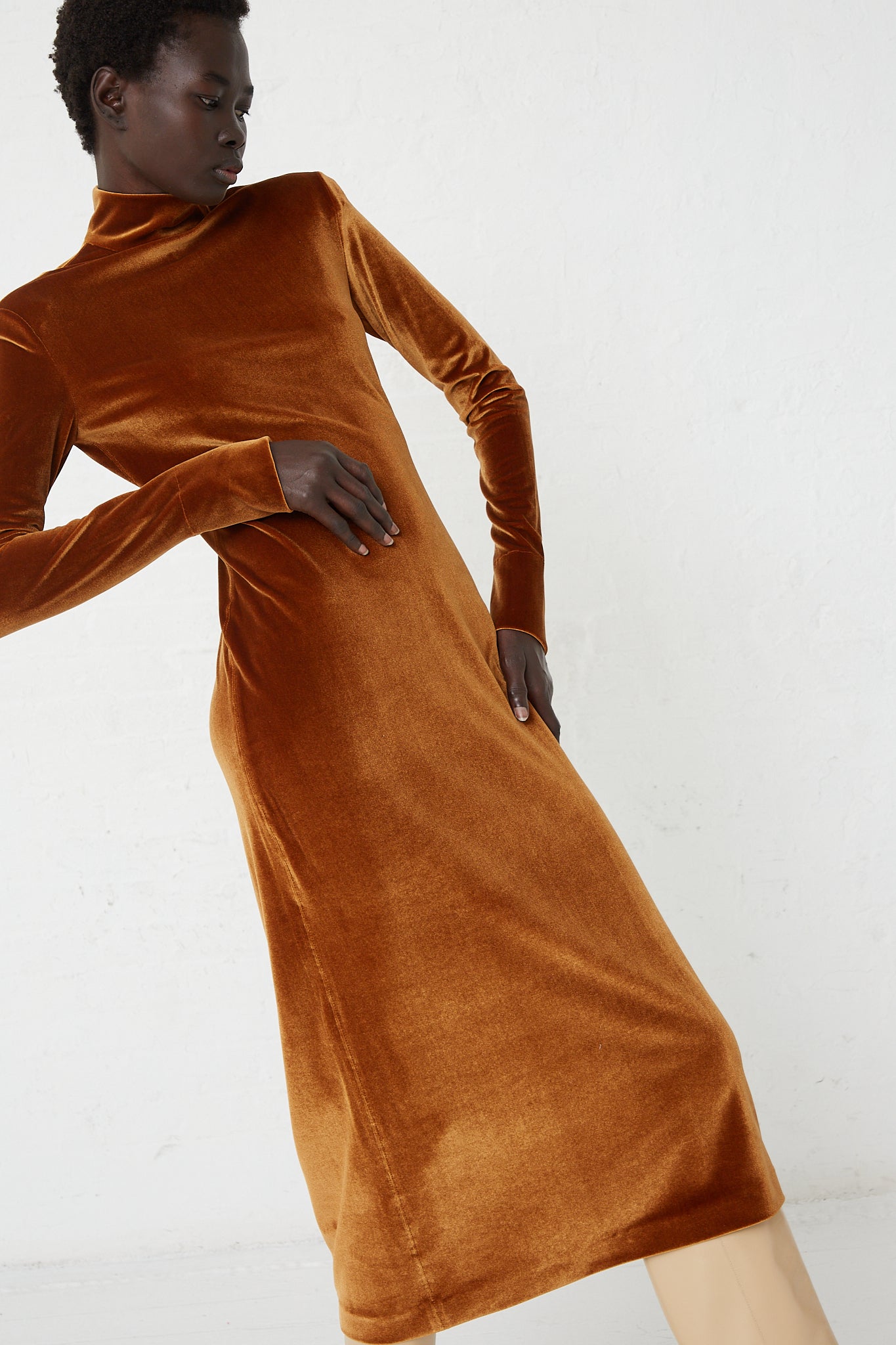 The model is wearing a Velvet Turtleneck Dress in Cognac by Veronique Leroy.