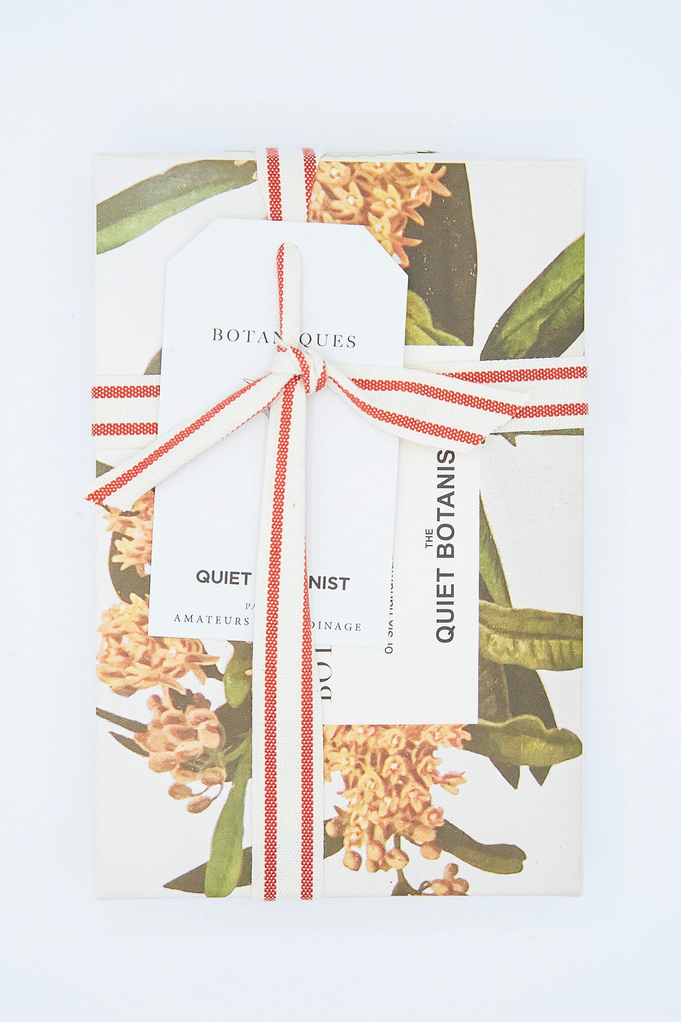A limited edition box of Chocolate Botanical Bon Bons, gift wrapped in a white and red ribbon by The Quiet Botanist.